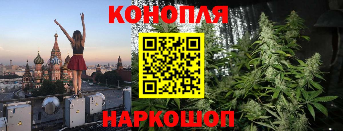 Бошки Шишки план Псков